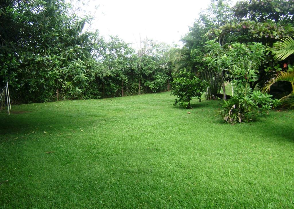 B&B Garden Grecia Rom bilde